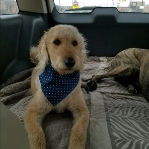 Meet your Posher, Madison